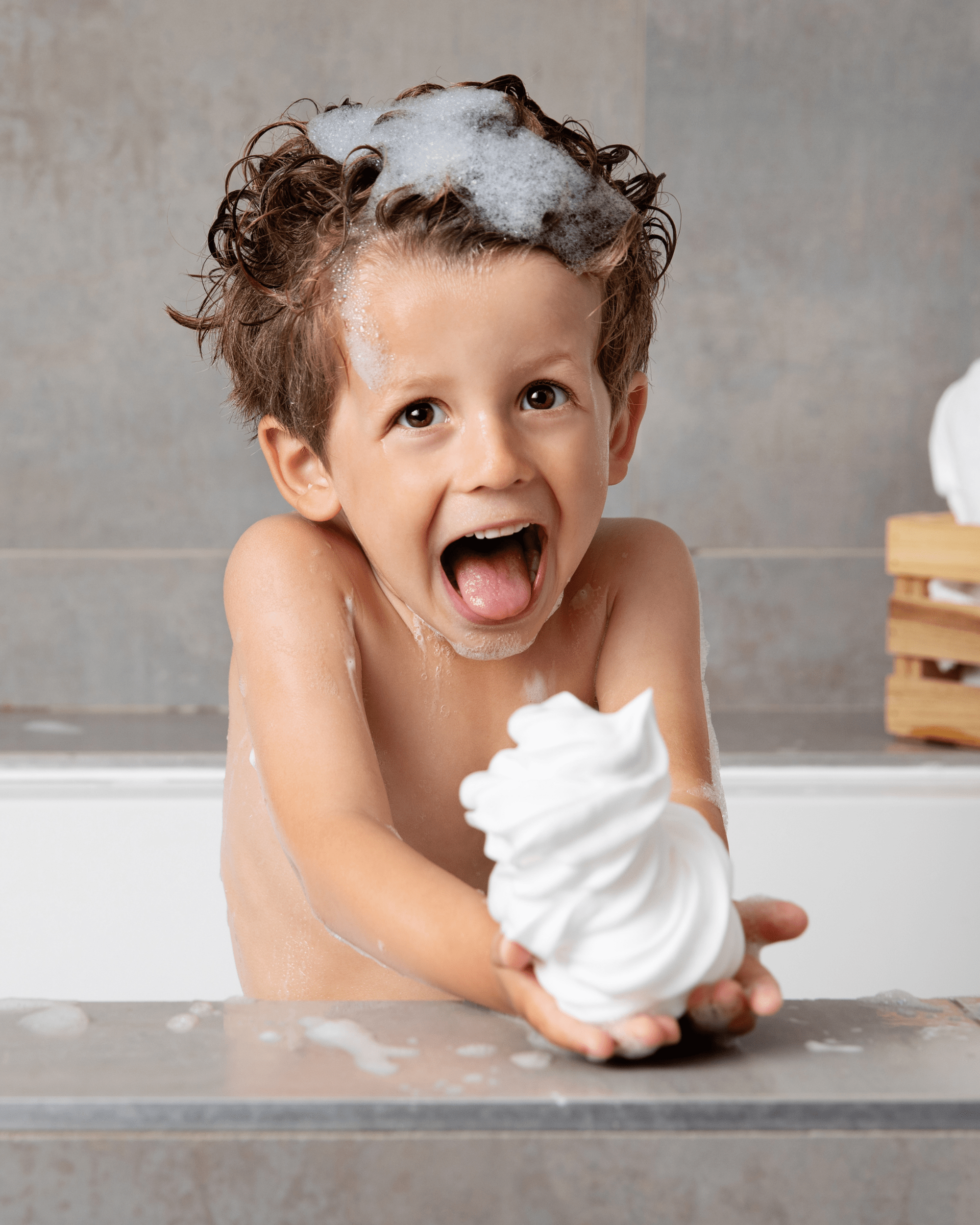 Ma chantilly lavante